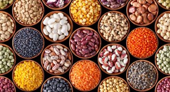 Govt Extends PM-AASHA Scheme to Support Farmers and Ensure Price Stability