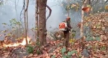 Odisha Strengthens Forest Fire Prevention Measures Ahead of Peak Season