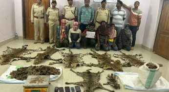 Major Wildlife Racket Busted in Odisha: Seven Arrested with Leopard Hides and Pangolin Scales