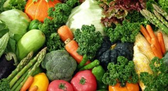 Ministry of Health Advocates Balanced Diet to Combat Tuberculosis