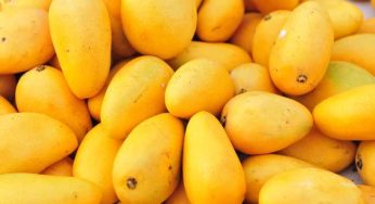 FSSAI Enforces Ban on Calcium Carbide for Fruit Ripening