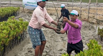 Community-Led Mangrove Conservation Efforts in Odisha Receive Government Appreciation