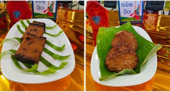 Raja Festival Celebrations Kick Off at OTDC Headquarters in Bhubaneswar