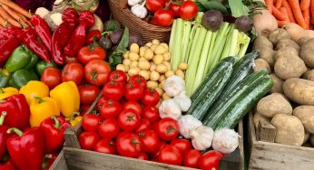 Odisha Govt to Open Cold Storage Facilities in Every Block to Address Rising Vegetable Prices