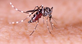 Dengue Cases Surge in Odisha, Khordha District Worst Hit
