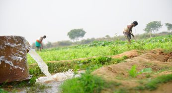 Odisha Govt Eases Payment Terms for Lift Irrigation Consumers’ Arrear Electricity Bills