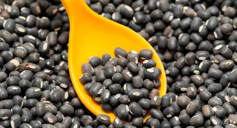 Govt Efforts Lead to Stabilization of Urad Prices, Boost Farmer Morale