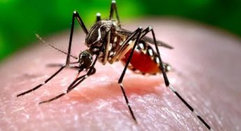 Health Ministry Issues Advisory to States Amid Zika Virus Cases in Maharashtra
