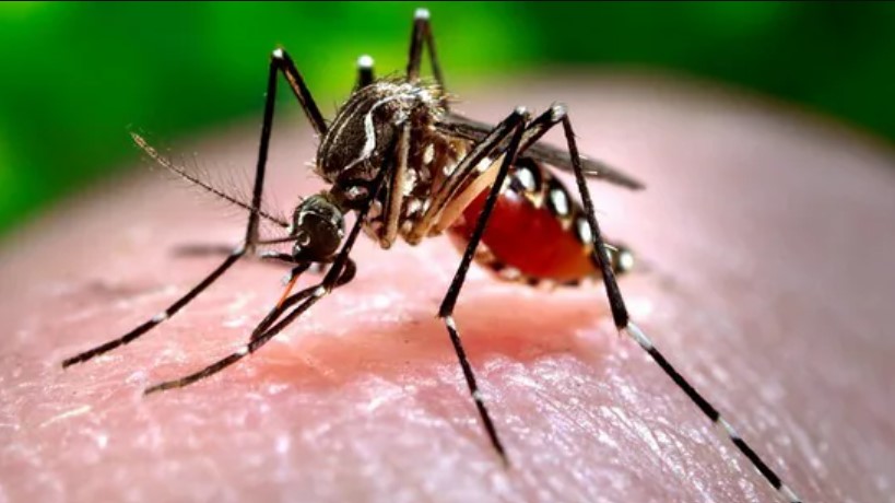 Health Ministry Issues Advisory to States Amid Zika Virus Cases in Maharashtra
