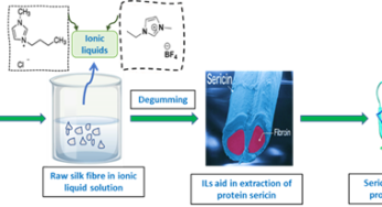 Researchers Unveil Eco-Friendly Method for Silk Processing Using Ionic Liquids