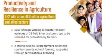 Union Budget 2024-25: Focus on MSMEs and Labour-Intensive Manufacturing