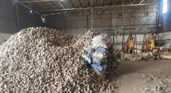 Govt Revises Financial Assistance for Biomass Briquette and Pellet Production to Boost Utilization