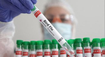 Odisha Rolls Out Micro-Level Action Plan to Contain Bird Flu in Puri District