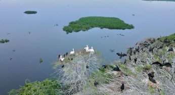 India Adds Three New Ramsar Sites on the Eve of Independence Day 2024