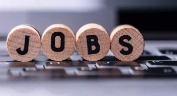 Odisha Govt to Launch Massive Employment Drive in September to Fill 35,000 Vacancies