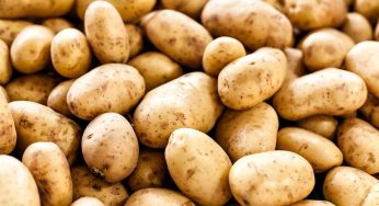 Odisha Govt to Import Potatoes from UP via Trains to Tackle Shortage