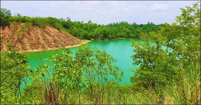 SECL Achieves Milestone in Environmental Sustainability Through Compensatory Afforestation Initiatives