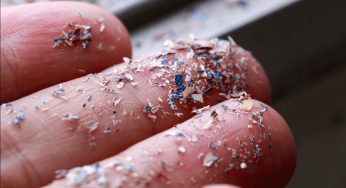 FSSAI Launches Project to Combat Microplastic Contamination in Food