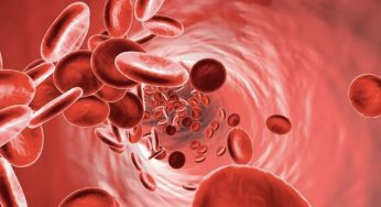 Siddha Medicine Shown to Reduce Anaemia in Adolescent Girls: Study