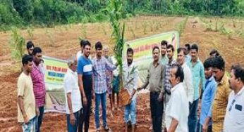 India’s Mega Oil Palm Plantation Drive: 17 Lakh Saplings Planted Across 15 States, Benefitting 10,000 Farmers