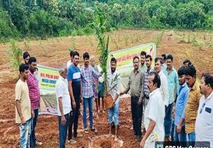 India’s Mega Oil Palm Plantation Drive: 17 Lakh Saplings Planted Across 15 States, Benefitting 10,000 Farmers