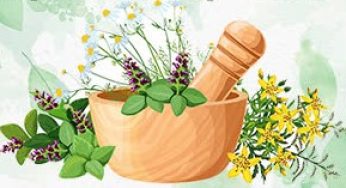 Odisha Govt to Set Up Ayurvedic Medical College in Mayurbhanj