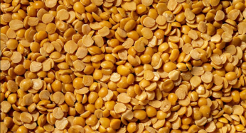Consumer Affairs Secretary Urges Retailers to Lower Prices of Pulses Ahead of Festive Season