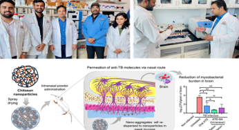 New Breakthrough in TB Treatment: Scientists Develop Innovative Method to Deliver Drugs Directly to the Brain