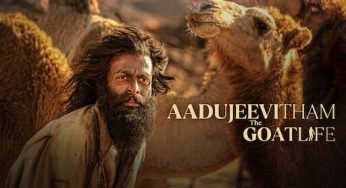 IFFI 2024: 15 Films to Compete for Golden Peacock at Prestigious Film Festival in Goa