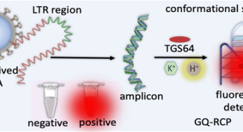 Researchers Develop Advanced Technology for Accurate HIV Detection
