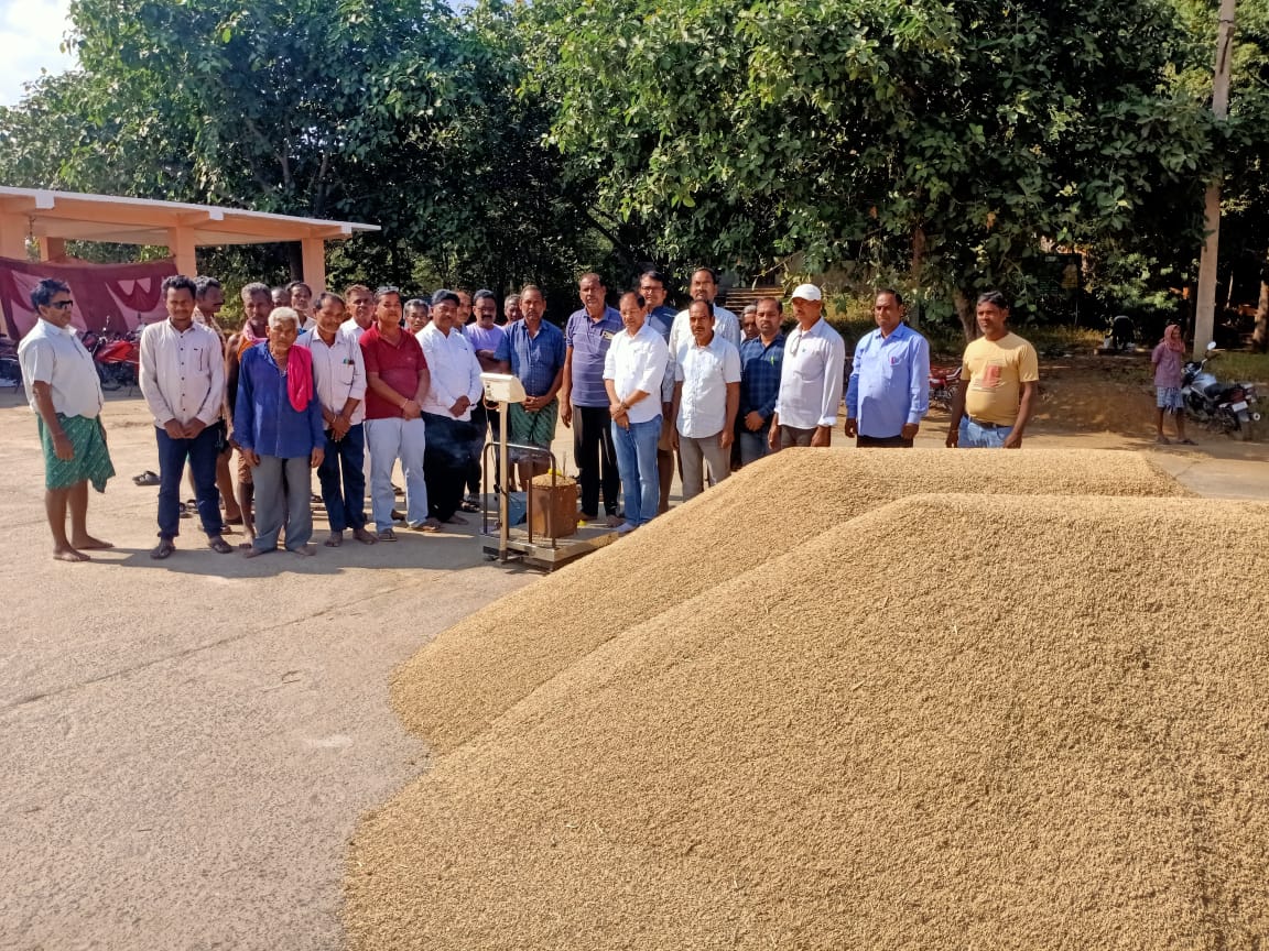 Odisha Govt Accelerates Paddy Procurement Amidst Kharif Season