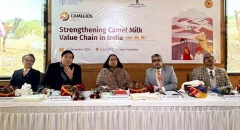 India Explores Camel Milk’s Potential in International Year of Camelids