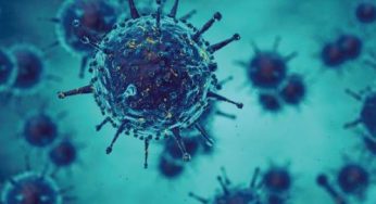 ICMR Detects Two Human Metapneumovirus Cases in Karnataka; No Unusual Surge in Respiratory Illnesses Reported