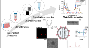 Scientists Identify Common Metabolites Across Cancer Types, Paving Way for Early Detection and Targeted Therapy
