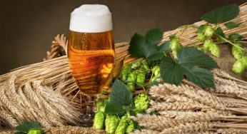 Odisha Govt to Promote Millet-Based Liquor Production