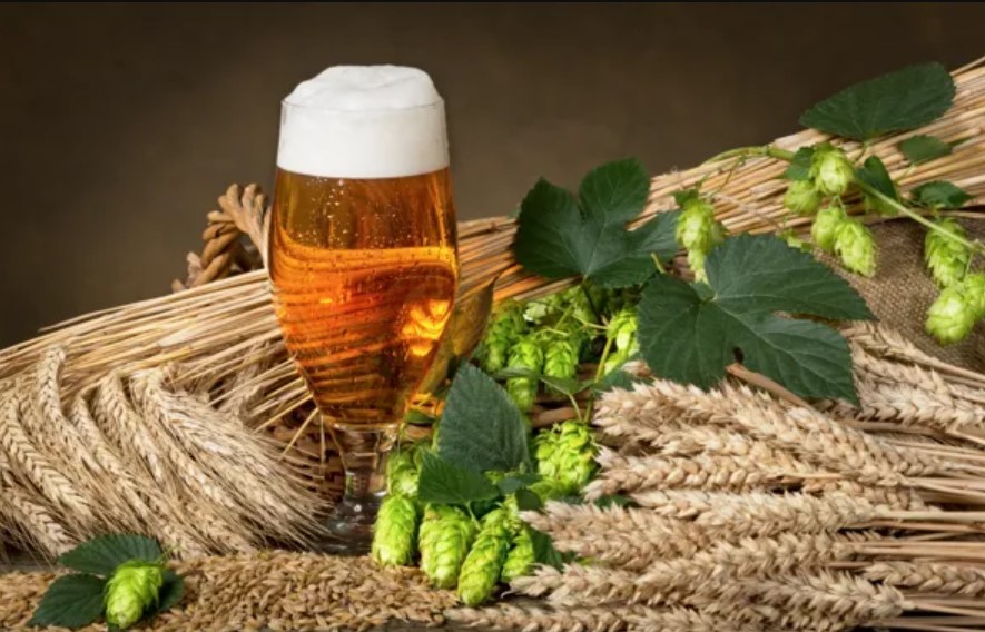 Odisha Govt to Promote Millet-Based Liquor Production