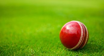 BCCI Revokes Saliva Ban for IPL 2025, Introduces New Ball Rule for Dew Management