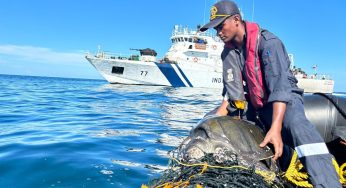 Record 6.98 Lakh Olive Ridley Turtles Protected During Indian Coast Guard’s ‘Operation Olivia’