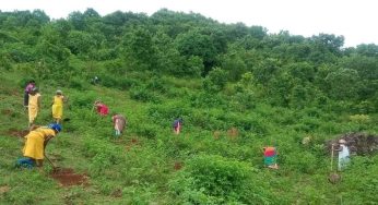 Odisha to Receive Over ₹2,000 Crore for Green Initiatives Under National CAMPA