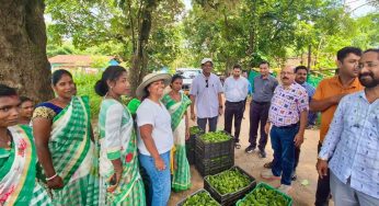 Agricultural Producer Clusters Transforming Women Farmers’ Lives in Odisha