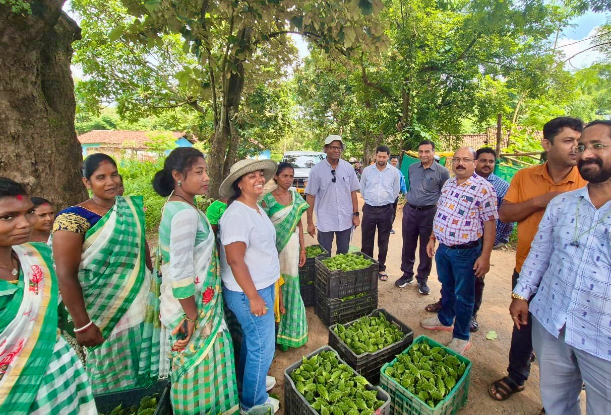 Agricultural Producer Clusters Transforming Women Farmers’ Lives in Odisha