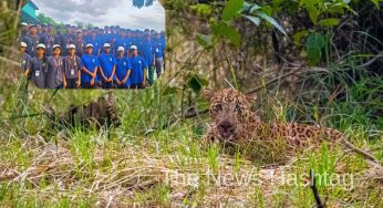 Students Join Hands with Forest Officials for Debrigarh’s All India Tiger Estimation 2025–26