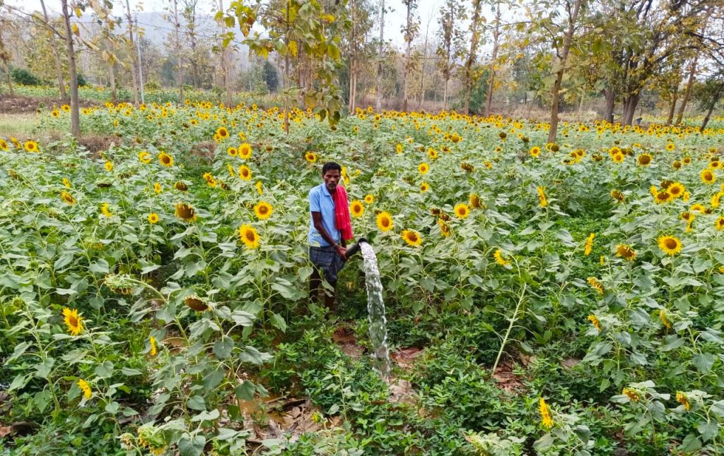 WhatsApp Image 2025-11-07 at 5.23