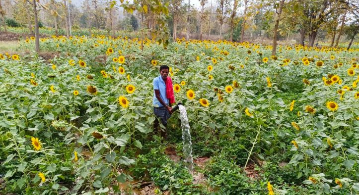 Odisha Strengthens Lift Irrigation Network to Boost Agricultural Growth and Water Security
