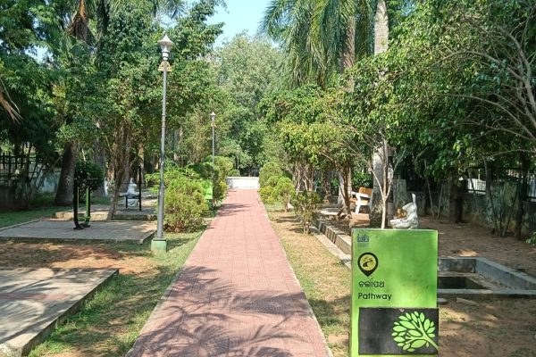 BDA Extends Weekend Park Hours, Opens All Parks All Day from December 13