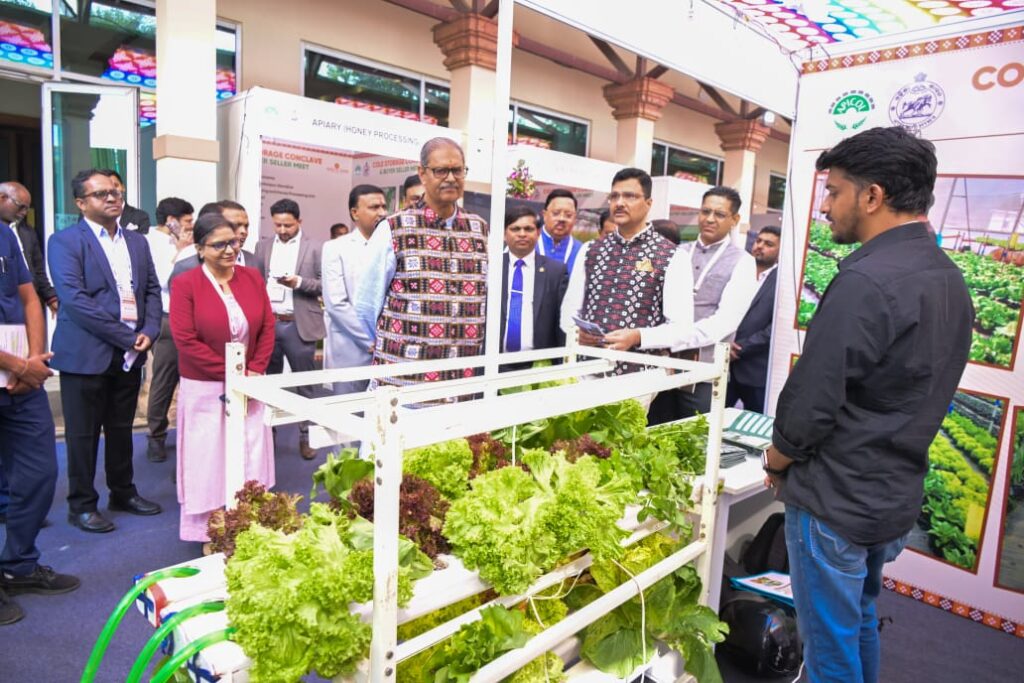 WhatsApp Image 2025-12-13 at 6.54