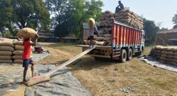 Paddy Procurement Picks Up Pace Across Odisha, Over 2.24 Lakh Tonnes Procured