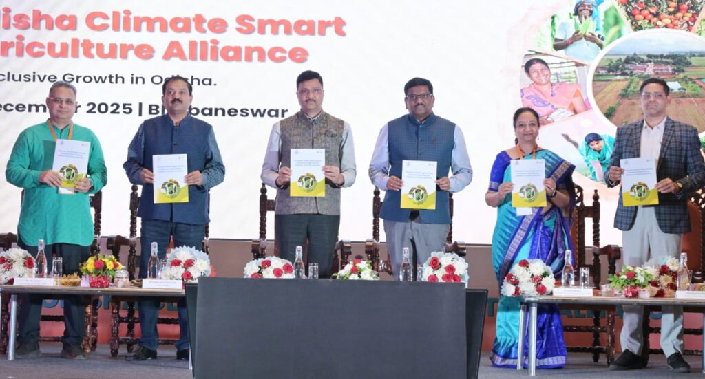 WhatsApp Image 2025-12-20 at 5.29