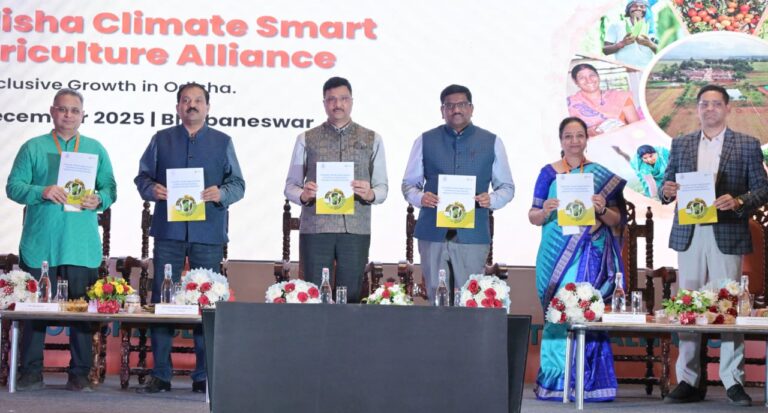 WhatsApp Image 2025-12-20 at 5.29