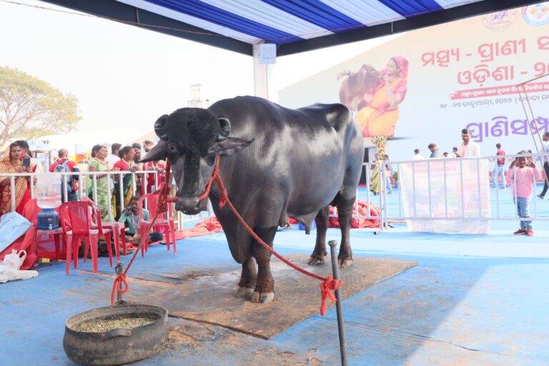 WhatsApp Image 2026-01-22 at 5.28